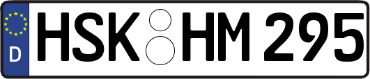 HSK-HM295