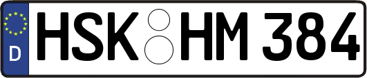 HSK-HM384