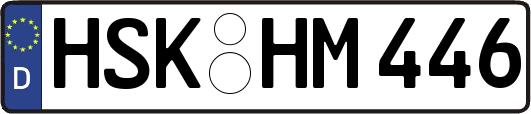HSK-HM446