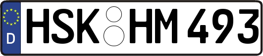 HSK-HM493