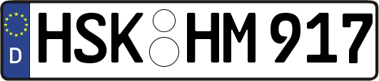 HSK-HM917