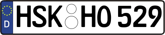 HSK-HO529