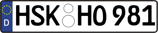 HSK-HO981