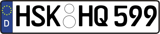 HSK-HQ599