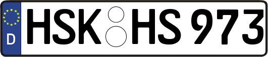HSK-HS973