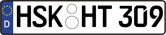 HSK-HT309