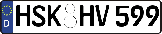 HSK-HV599