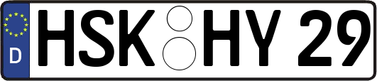 HSK-HY29