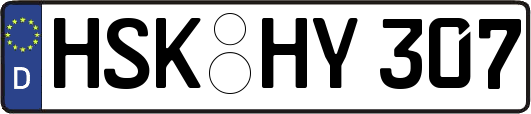 HSK-HY307