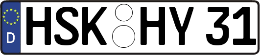 HSK-HY31
