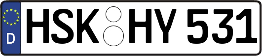 HSK-HY531