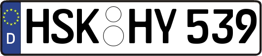 HSK-HY539