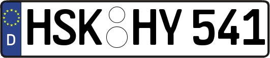 HSK-HY541