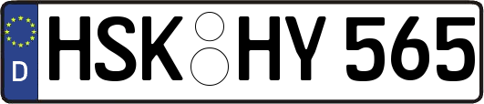 HSK-HY565