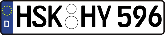 HSK-HY596