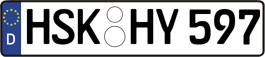 HSK-HY597