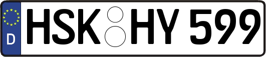 HSK-HY599