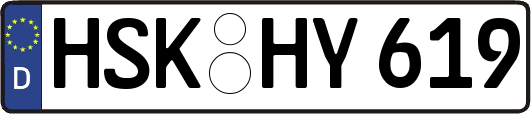 HSK-HY619