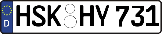 HSK-HY731