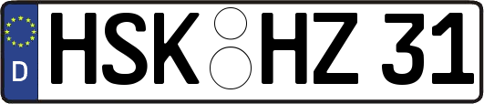 HSK-HZ31