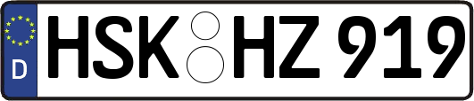 HSK-HZ919