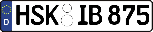 HSK-IB875