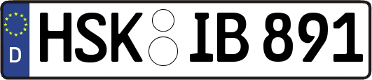 HSK-IB891