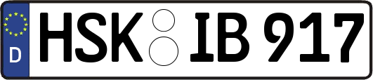 HSK-IB917