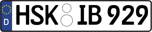 HSK-IB929