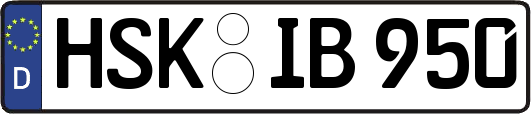 HSK-IB950