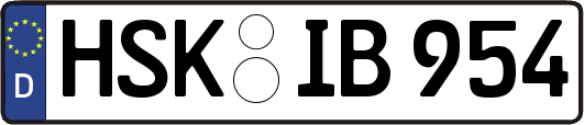 HSK-IB954