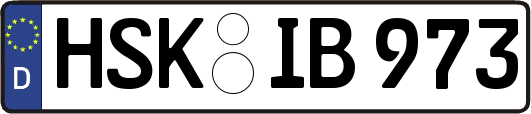HSK-IB973