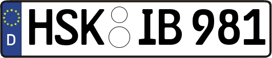 HSK-IB981
