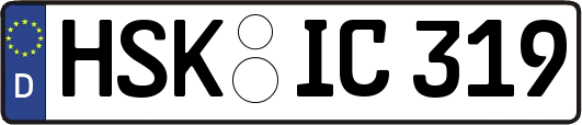 HSK-IC319