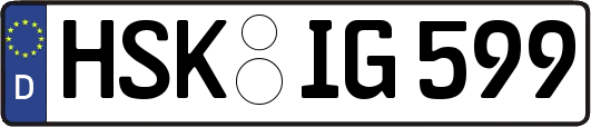 HSK-IG599