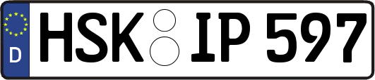 HSK-IP597