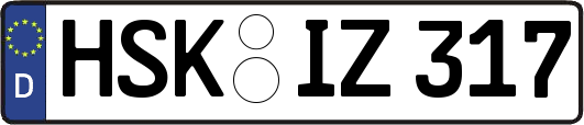 HSK-IZ317