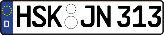 HSK-JN313