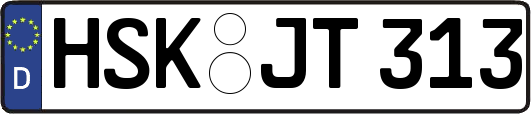 HSK-JT313