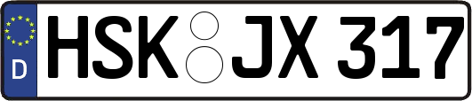 HSK-JX317