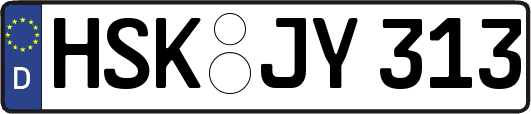 HSK-JY313