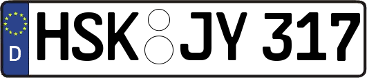 HSK-JY317