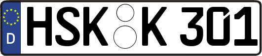 HSK-K301