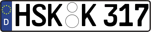 HSK-K317