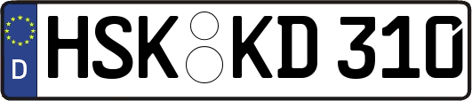 HSK-KD310