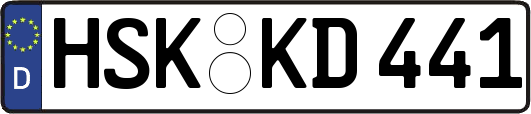 HSK-KD441