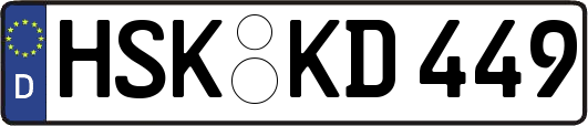 HSK-KD449