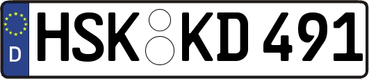 HSK-KD491