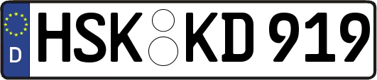 HSK-KD919