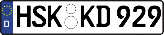 HSK-KD929
